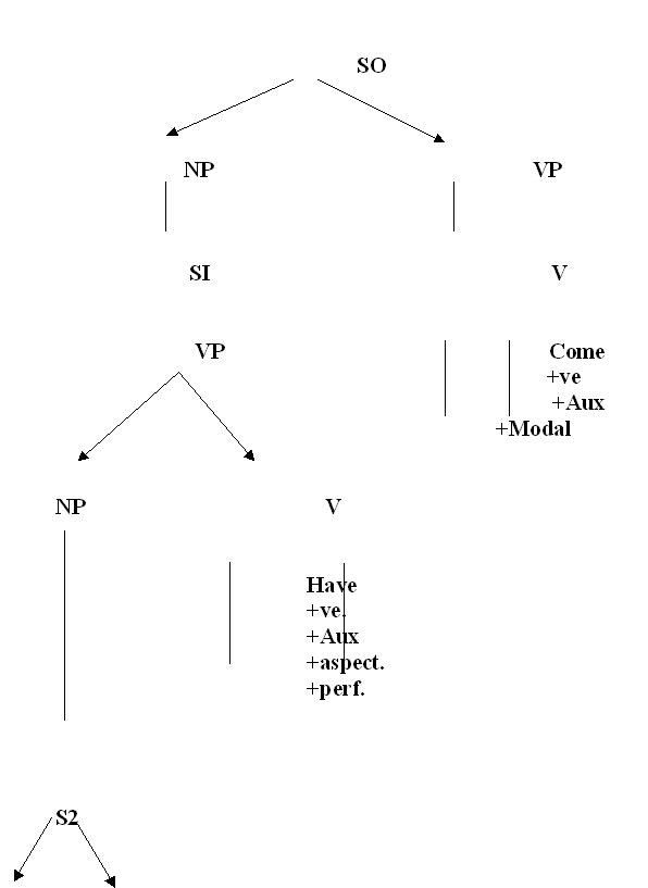 Tree diagram 2